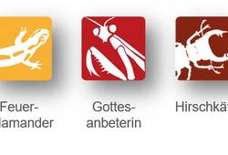 Abb. 2: App "Meine Umwelt" mögliche Artenmeldungen