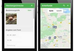 Abb. 1: App „Meine Umwelt“ Meldungen zu Artenfunden, Bestimmungshilfe, Angaben zum Fund und Standort (https://mule.sachsen-anhalt.de/umwelt/umweltinformation/meine-umwelt-app/, 17.05.2021)