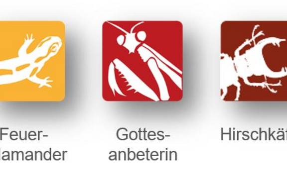 Abb. 2: App "Meine Umwelt" mögliche Artenmeldungen