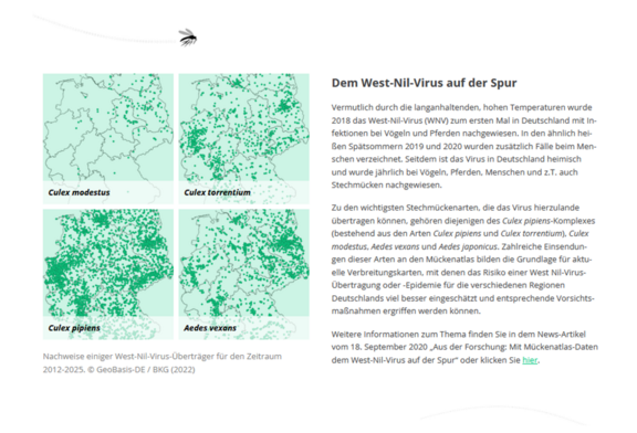 Abb. 2: Mückenatlas, Nachweise einiger West-Nil-Virus-Überträger für den Zeitraum 2012-2025. © GeoBasis-DE / BKG (2022) (https://mueckenatlas.com/unsere-forschung, 02.07.2026) Abb. 2: Mückenatlas, Nachweise einiger West-Nil-Virus-Überträger für den Zeitraum 2012-2025. © GeoBasis-DE / BKG (2022) (https://mueckenatlas.com/unsere-forschung, 02.07.2026)