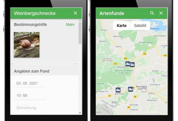 Abb. 1: App „Meine Umwelt“ Meldungen zu Artenfunden, Bestimmungshilfe, Angaben zum Fund und Standort (https://mule.sachsen-anhalt.de/umwelt/umweltinformation/meine-umwelt-app/, 17.05.2021)